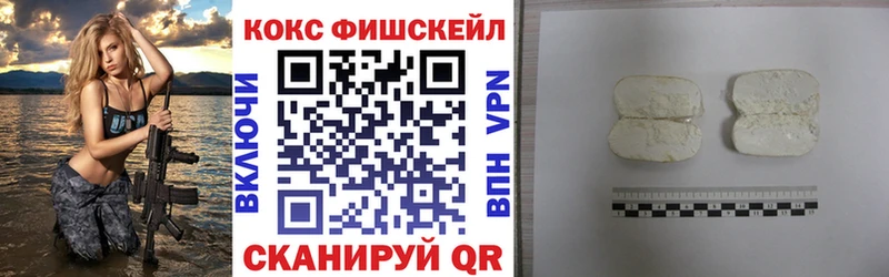 COCAIN Fish Scale  Купить где  Константиновск 