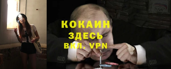 соль ск Волосово