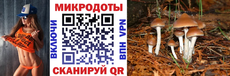 Галлюциногенные грибы Psilocybe  Купить закладки  Константиновск 